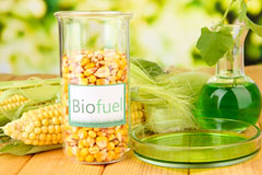Nineveh biofuel availability