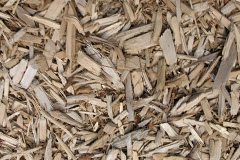 biomass boilers Nineveh