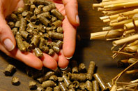 free Nineveh biomass boiler quotes